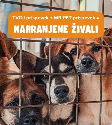 donacije za zavetišče